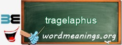 WordMeaning blackboard for tragelaphus